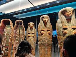 Museum of Us